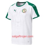 Senegal Fodboldtrøjer Hjemmebanesæt VM 2018 Senegal Fodboldtrøjer Hjemmebanesæt VM 2018